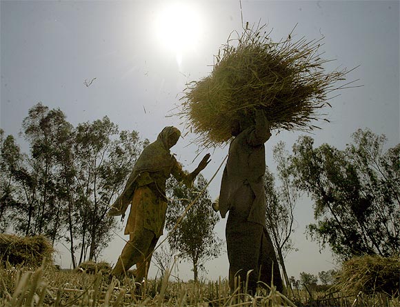 Farming, the mainstay of Punjabi families for ages, no longer attracts the young
