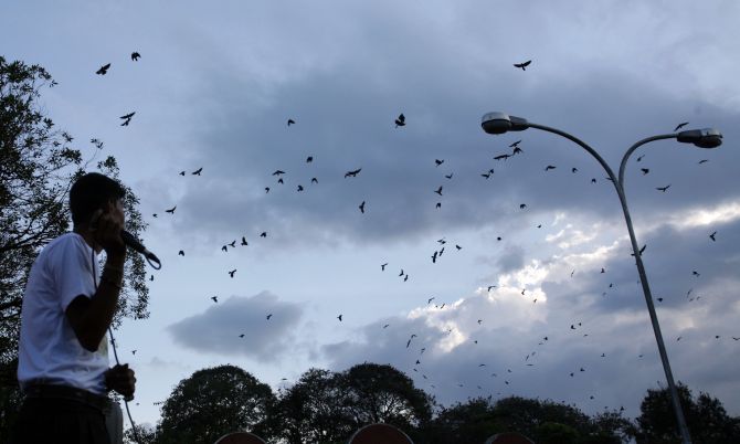 Crows flock around as Gautam Sapkota, a self-proclaimed 'crow caller', produces bird sounds to attract them, in Kathmandu