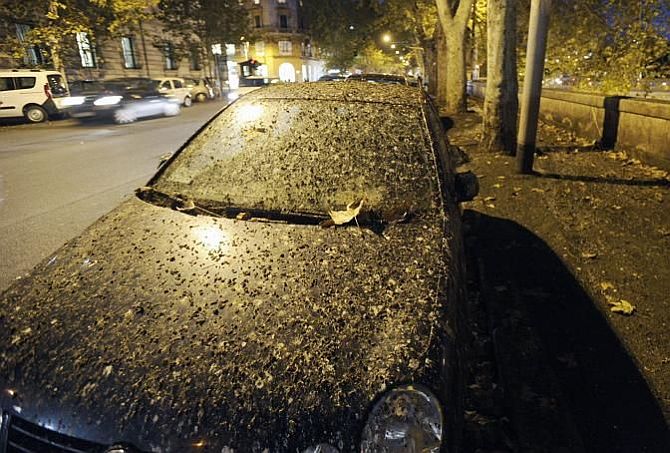 It's raining poo in Rome