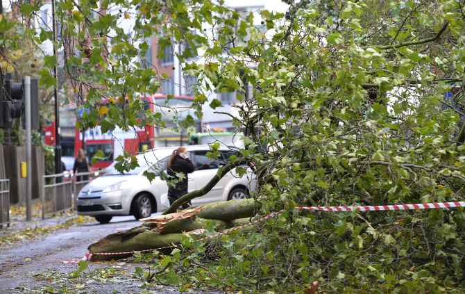 A fallen tree blocks a road in Ealing, west London, on Monday