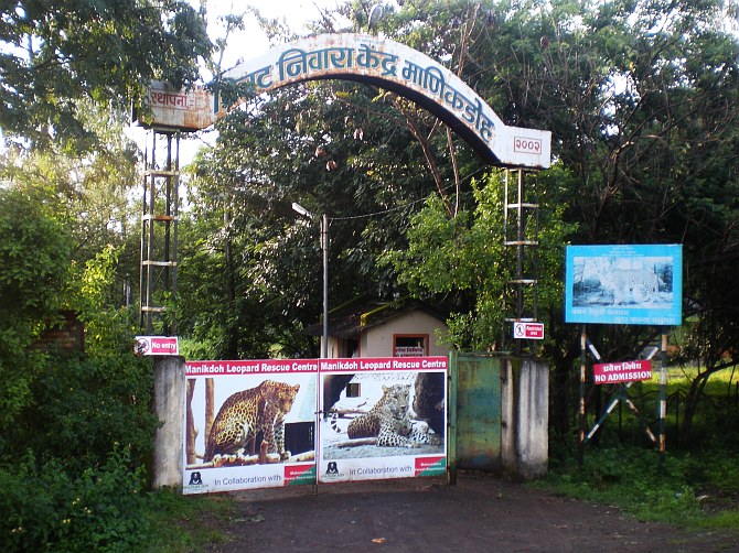 The Manikdoh Leopard Rehabilitation Center