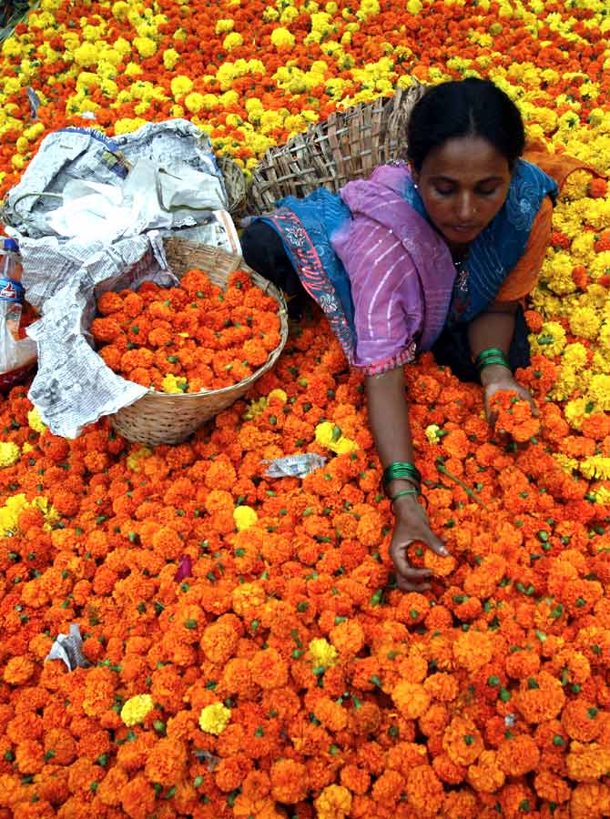 A woman sorts through marigolds at a flower market in Mumbai.