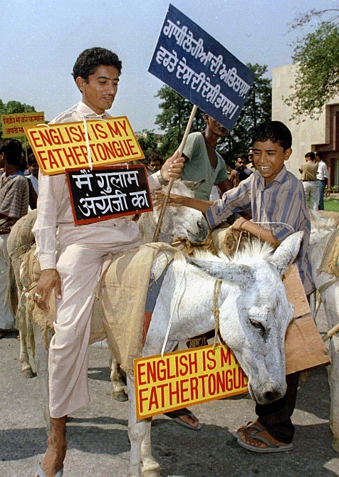 A protestor sits atop a donkey during a demonstration in support of the Indian languages and against the domination of English