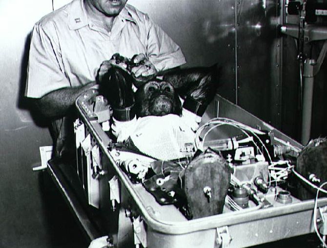 Enos the space chimp is wearing a space suit and lying in his flight couch while being prepared for insertion into the en:Mercury-Atlas 5 capsule in 1961