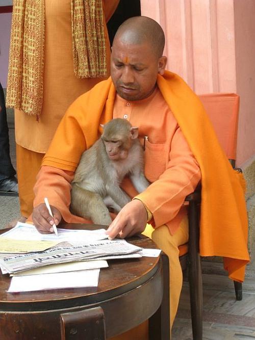 Adityanath's Nath Yogi tradition has a history of pluralism, close ties to  Islam