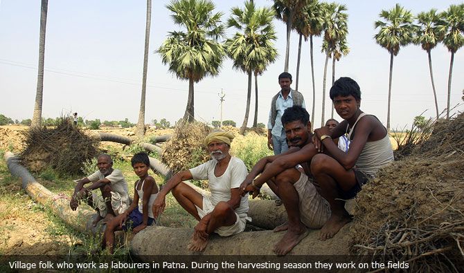 Village folk who work as labourers in Patna. During the harvesting season they work on the fields