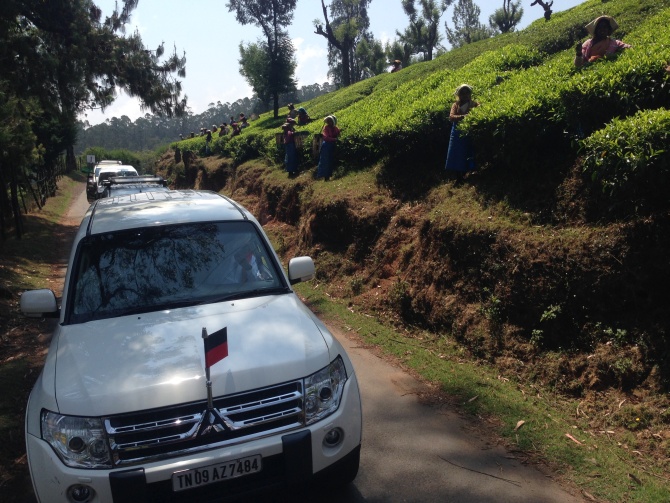 A Raja, the DMK nominee from the Nilgiris constituency, goes campaigning past a tea garden in Ooty.