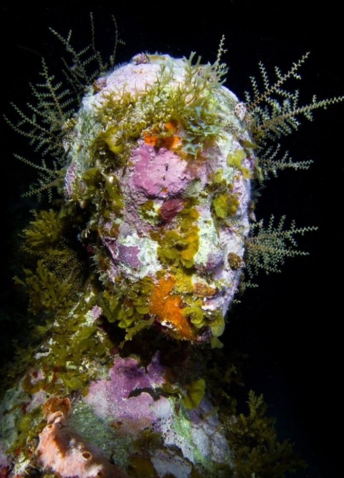 PHOTOS: Dive into this UNDERWATER museum