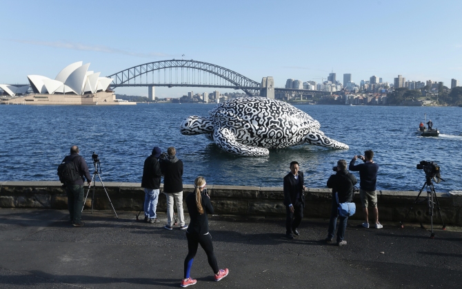A floating sculpture named 'Alpha Turtle' is pictured in front of the Sydney Opera House and Harbour Bridge.