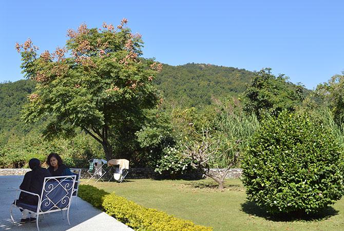 Nayantara Sehgal at her residence