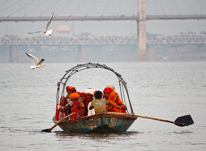 Siberian migratory birds give the devotees company