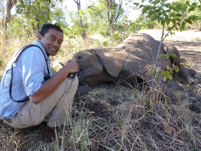 M Sanjayan poses with a sleeping elephant during a hike in Africa.