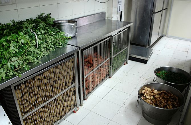 Kitchen is spotlessly clean and has a separate section for storing vegetables. It also has a cold storage. 