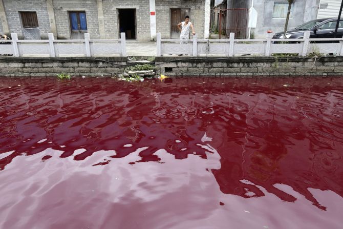 A man looks at a contaminated river in Cangnan county of Wenzhou, Zhejiang province. 