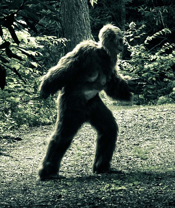 MYTH BUSTED: Yeti and Big Foot exist?