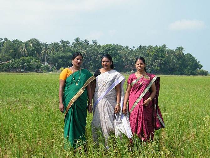 Bindu and her friends cleared their debts off with their first harvest.