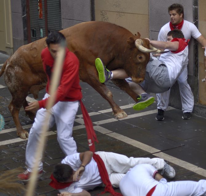 PHOTOS: Why a bull chasing you is not really fun