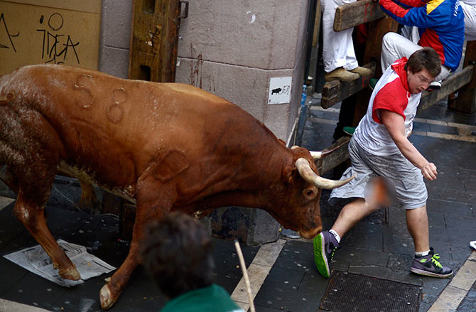 PHOTOS: Why a bull chasing you is not really fun