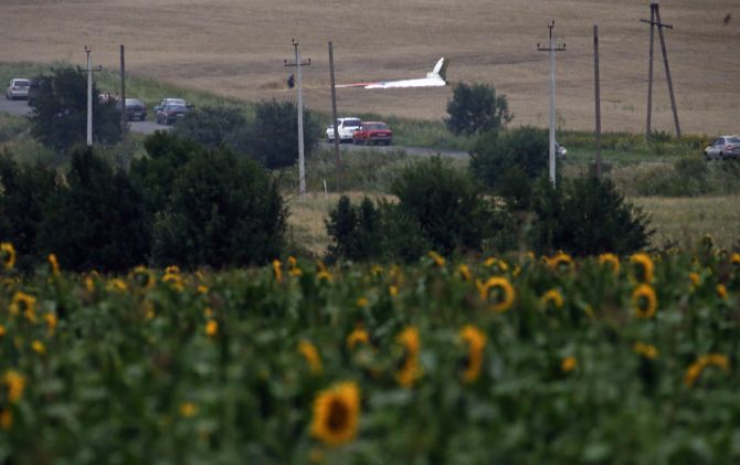The wreckage of a Malaysia Airlines Boeing 777 plane (back) is seen, with sunflowers in the foreground, near the settlement of Grabovo in the Donetsk region.