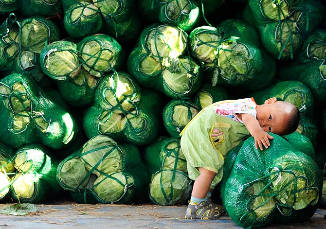 A boy leans on a sack of cabbages at a vegetable wholesale market in Jinan, Shandong province July 13, 2014. China's leaders are expecting to see a dividend from three months of stimulus spending in second-quarter growth data on July 16, 2014