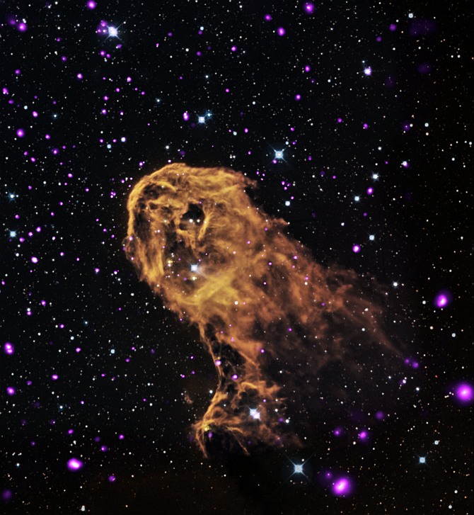 When radiation and winds from massive young stars impact clouds of cool gas, they can trigger new generations of stars to form. This is what may be happening in this object known as the Elephant Trunk Nebula (or its official name of IC 1396A). X-rays from Chandra (purple) have been combined with optical (red, green, and blue) and infrared (orange and cyan) to give a more complete picture of this source
