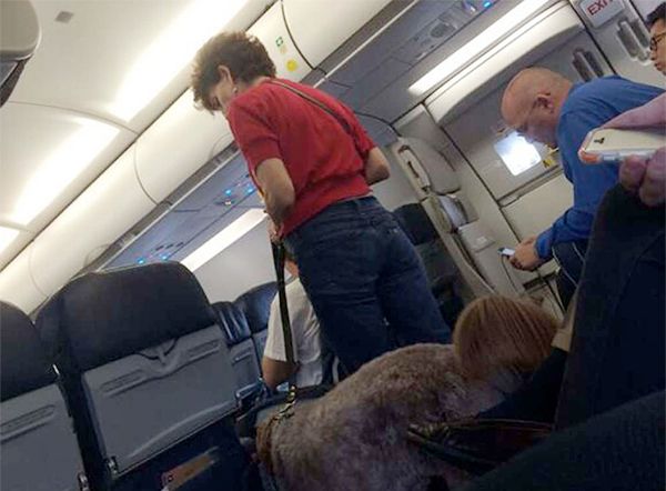US plane makes emergency landing after dog poops