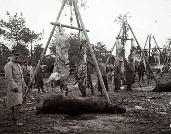 RARE PHOTOS: World War I, as never seen before