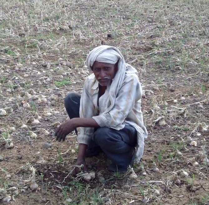A farmer shows his destroyed crops in Beed, Maharashtra