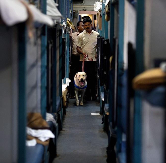A member of the bomb squad with a sniffer dog examines the train coach after the blasts.