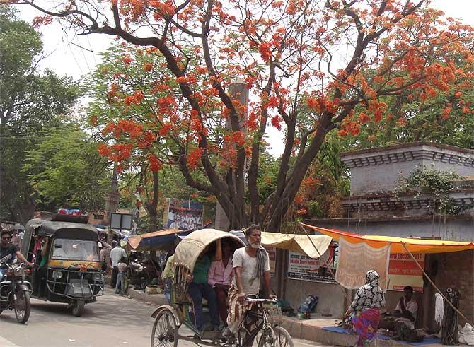 A scene from Chhapra, whose MP is the Bharatiya Janata Party's Rajiv Pratap Rudy, India's minister of state for skills development.