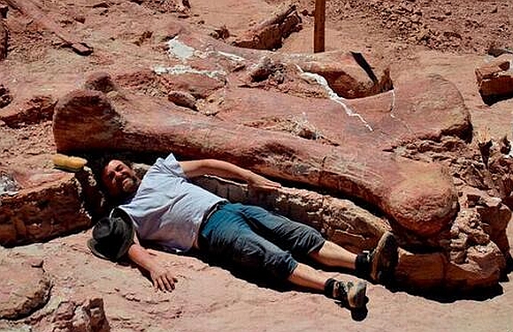 One of the paleontologists lies next to the fossil