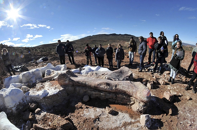 Residents and technicians look at the bones of the dinosaur at a farm in La Flecha,