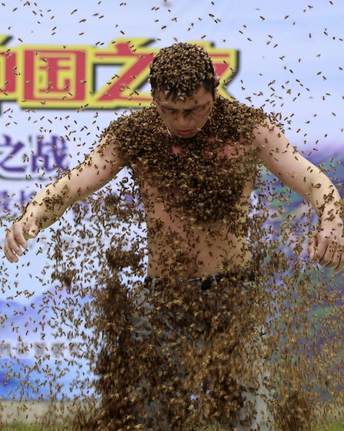 Ruan Liangming holds the record for longest time being coated in bees.