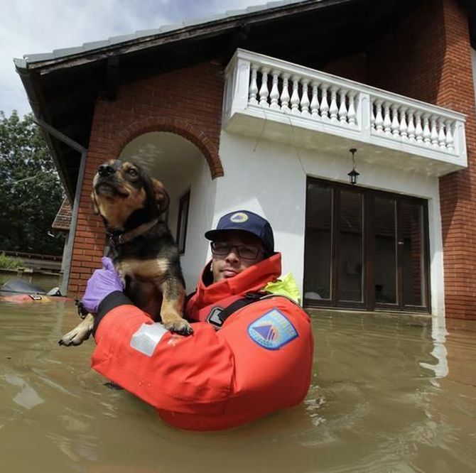 A Slovenian rescue worker saves a dog during heavy floods in the village of Prud.