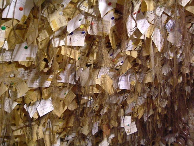 The museum features hair samples from 16,000 women.