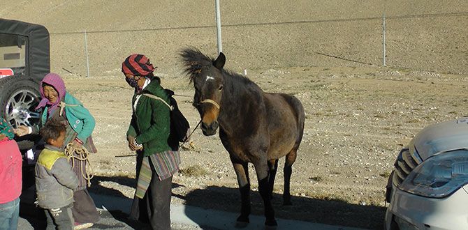 A Tibetan family with their horse on the Friendhip Highway in Tibet