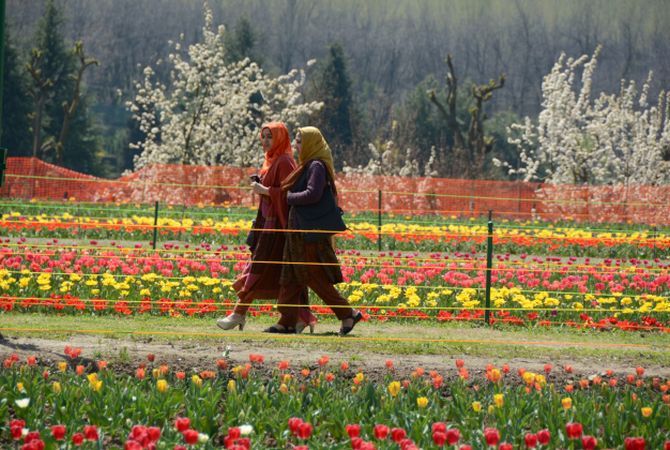 The tulip garden in Srinagar
