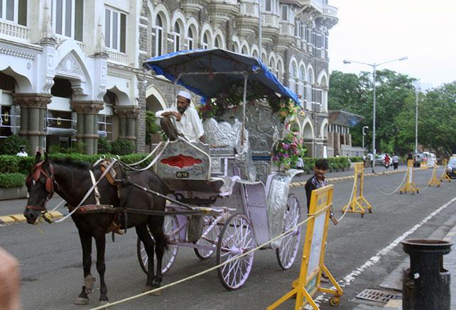 A horse driven carriage outside the Taj Mahal hotel