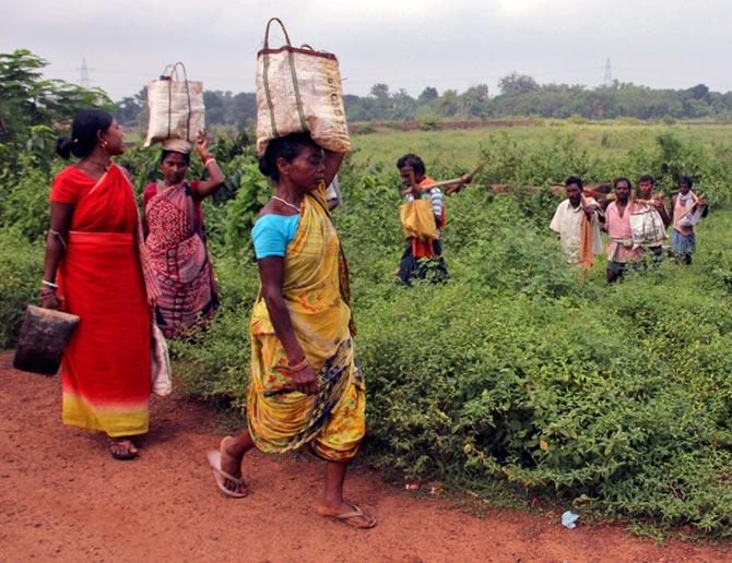 A field beside a SEZ in Odisha