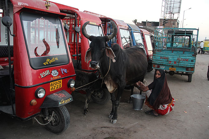 Sabarmati milk vans