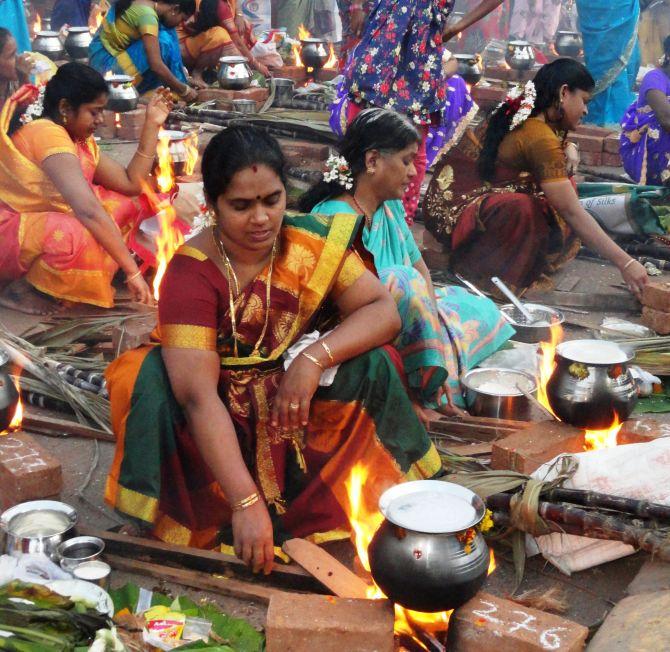 Pongal celebrations in Mumbai