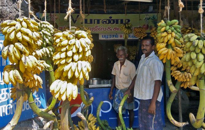 The day before Pongal