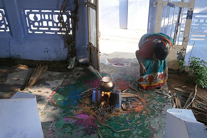 Pongal