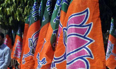 BJp flags