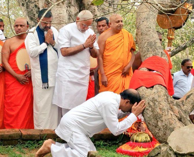 Prime Minister Narendra Modi and Sri Lankan President Mathripala Sirisena (kneeling) worship at the sacred Mahabodhi tree in Anuradhapura, March 14, 2015. Legend has it that the southern branch of the holy Bodhi tree in Bodh Gaya in India under which Lord Buddha attained enlightenment was brought to Sri Lanka in 288 BC by Princess Sanghamitta (Sanghamitra in Sanskrit), Emperor Ashoka's daughter. It was planted in Anuradhapura and is venerated to this day by Buddhists from many countries. Photograph: @PMOIndia/Twitter