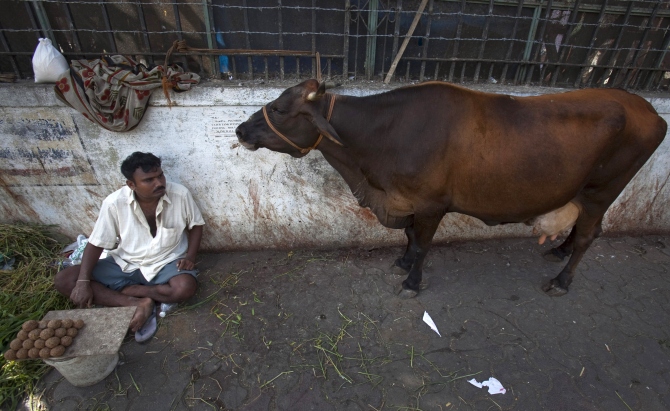 A streetside vendor, sits on the pavement next to his cow outside a temple. 