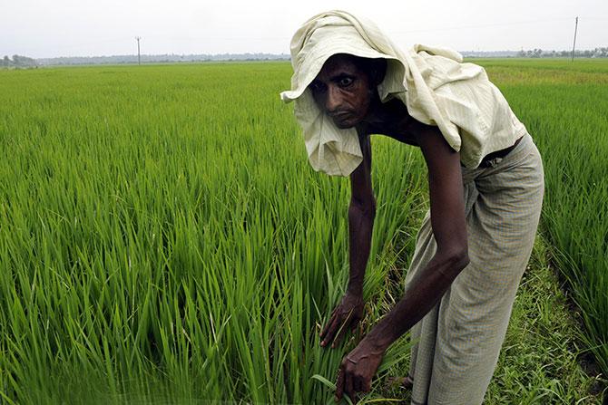 Sufal Das also works as an agricultural labourer to help make ends meet.