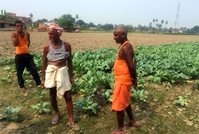 Farmers in their field