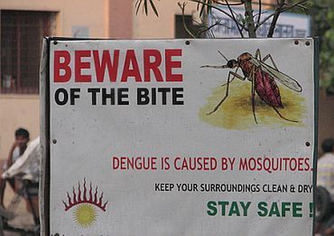 'Dengue outbreak may aggravate COVID-19 crisis'