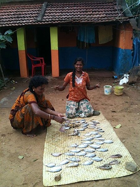 Women selling fish outside their homes in Idinthakarai.
